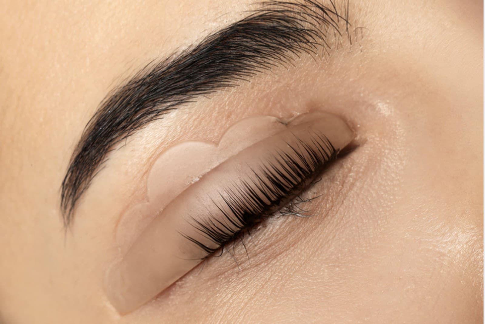 Korean lash lift result showing soft lifted lashes